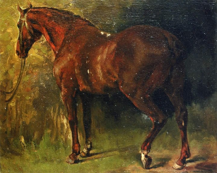 Gustave Courbet The English Horse of M Duval